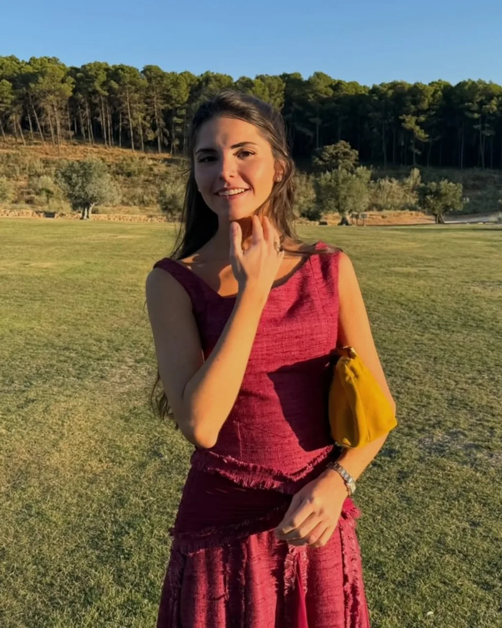 Peinado de madrina joven